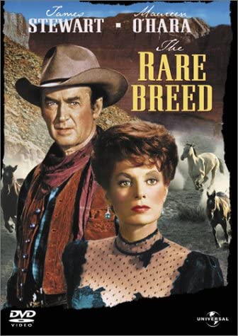 

DVD DVD - Stampede Japan Movies & DVD Used
