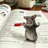 12/24cm Plush Mouse Doll Plush Cartoon Mouse Doll New Animal Figure Doll  Bag Charm Doll