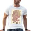Naturalist Sea Coral Tshirt Basic Simple Casual Short Sleeve Tee