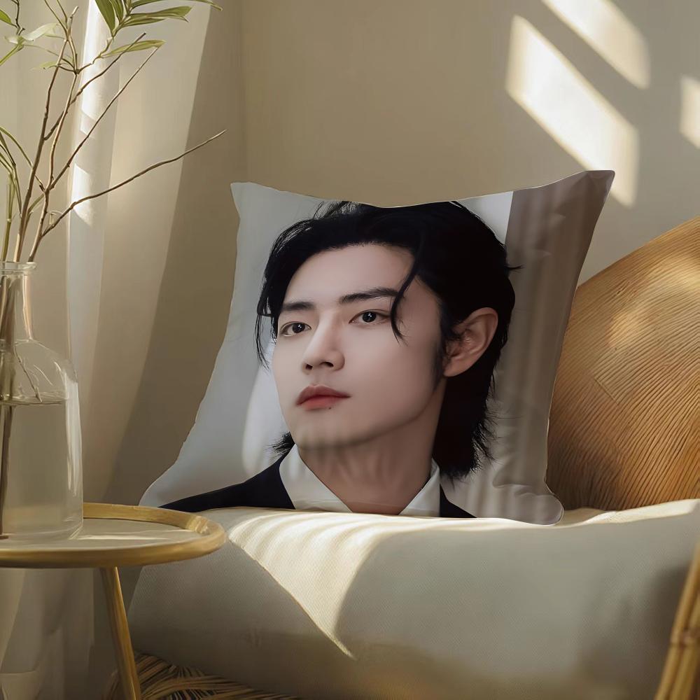 Sean Xiao Zhan Actor Pillow Case Double-Sided Plush Sofa Cushion Covers Organic Breathable Invisible Zipper