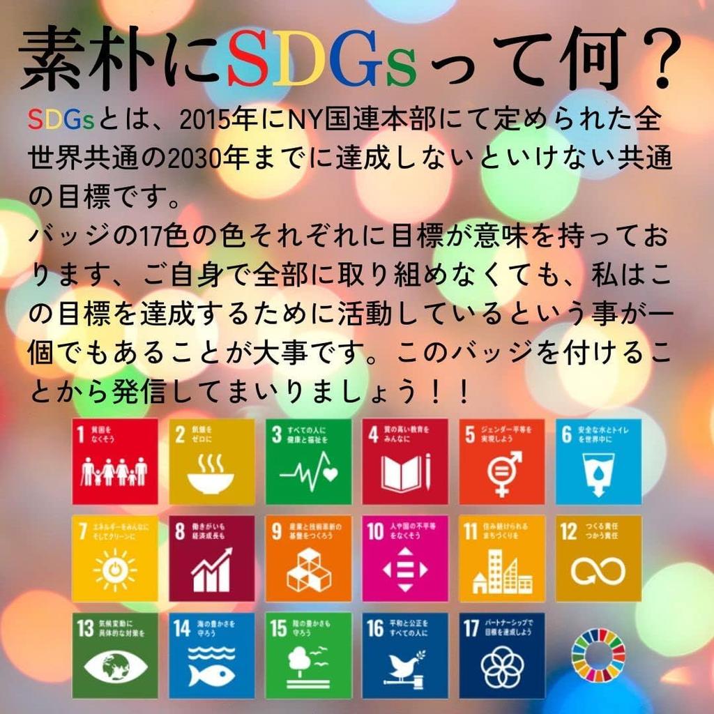 SDGs Badge SDGs Badge Pin Badge New UN Specification Silver Rounded Surface Finish of AIGOU-Life (Set 5)