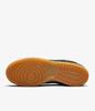 Nike SB Dunk Unisex Board Schuhe HJ0367-301