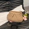 Summer Designer Shoulder Crossbody Bag Straw Weaving Clutch Purse Women Dumpling Crossbody Beach Bag Fash Cloud Pouch
