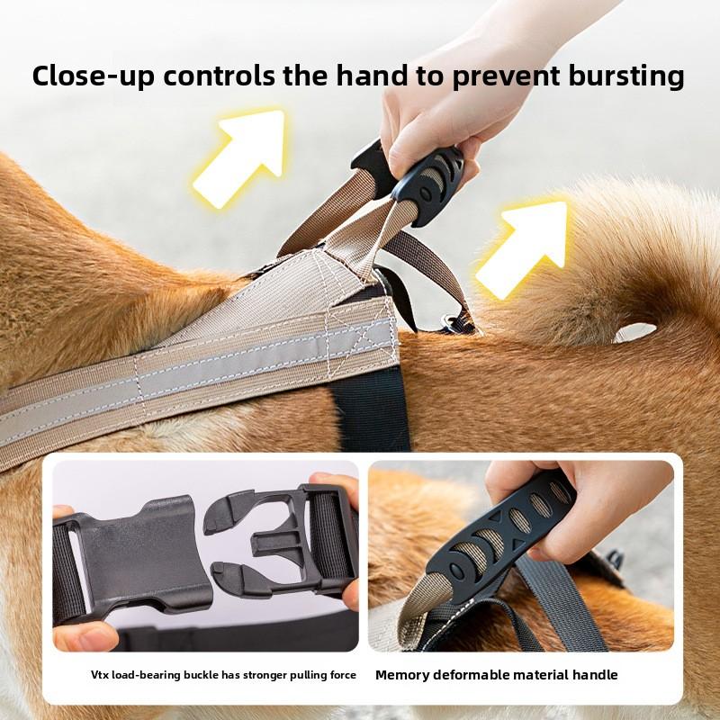 Domácí pes Střední a velký pes Reflexní sedlový typ Hrudní zadní venčení psa Artefakt Shiba Inu Corgi Střední pes Univerzální