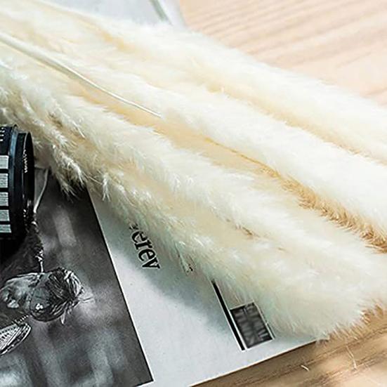 30 szt. Suszona roślina puszysta przyciągająca wzrok 2 kolory doskonałe sztuczne suszone rośliny trawiaste do użytku domowego