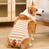 Breathable Female Dog Underwear Stripe Dog Underwear Pet Panties Pet Jumpsuit  Outdoor Walk