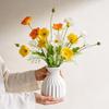 Vase en Plastique à Ondes d'Eau Style Nordique Simple Décoration Pour Chambre à Coucher Salon Décoration de la Maison Vase Rangement d'Eau Jardinière à Fleurs