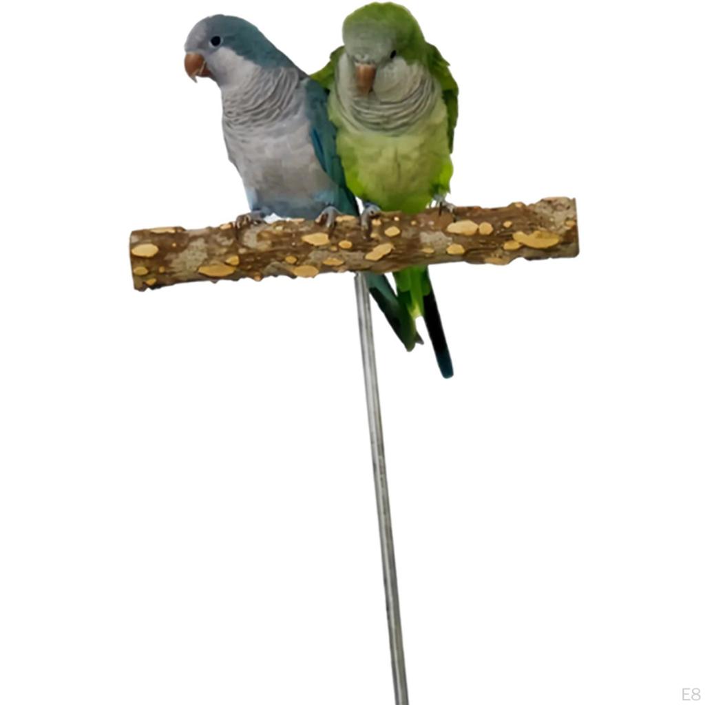 Bird Perch Stand Play Gym Playpen Practical Chewing Biting Toy Playground
