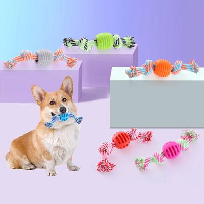 Hunde – Hundespielzeug
