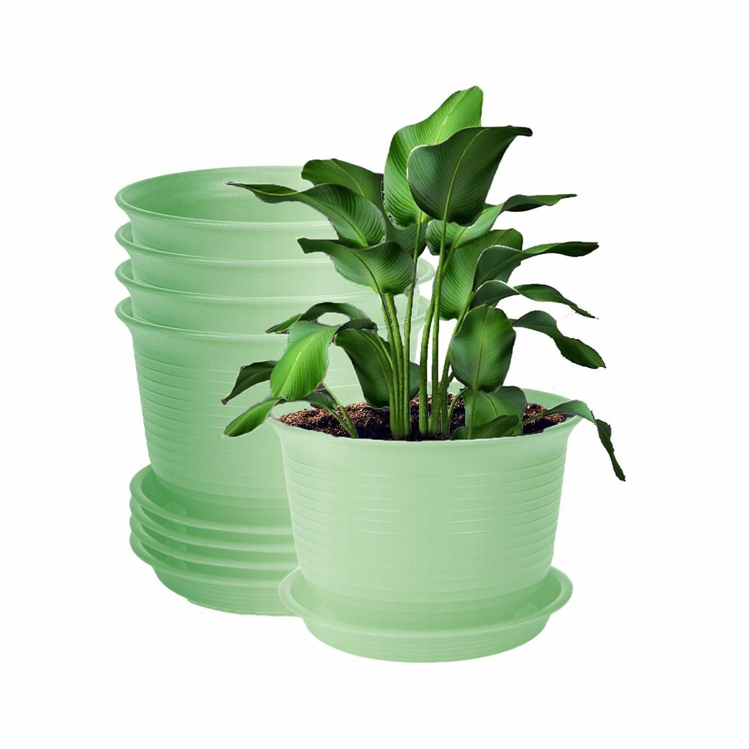 

Plastic Round Flower Pots with Tray for Home Planters, Terrace, Garden Etc | Pack of 05 | Green | Size 8 Inch | for Home Indoor & Outdoor PACK OF 5 зелёный