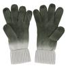 Regatta Womens/Ladies Frosty VIII Ombre Gloves