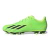 adidas X Speedportal.4 FG Game Data Pack Herren Sneaker Grün Solar-Grün Core-Schwarz GW8494