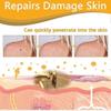 Tag Recede Bee Venom, 2025 Tag Recede Bee Venom Spray, Bee Venom And Tags Spray For Women And Men 20ml