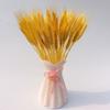 Home Decor Natural Dried Flowers Dried Wheat Bouquet Wheat Ear
