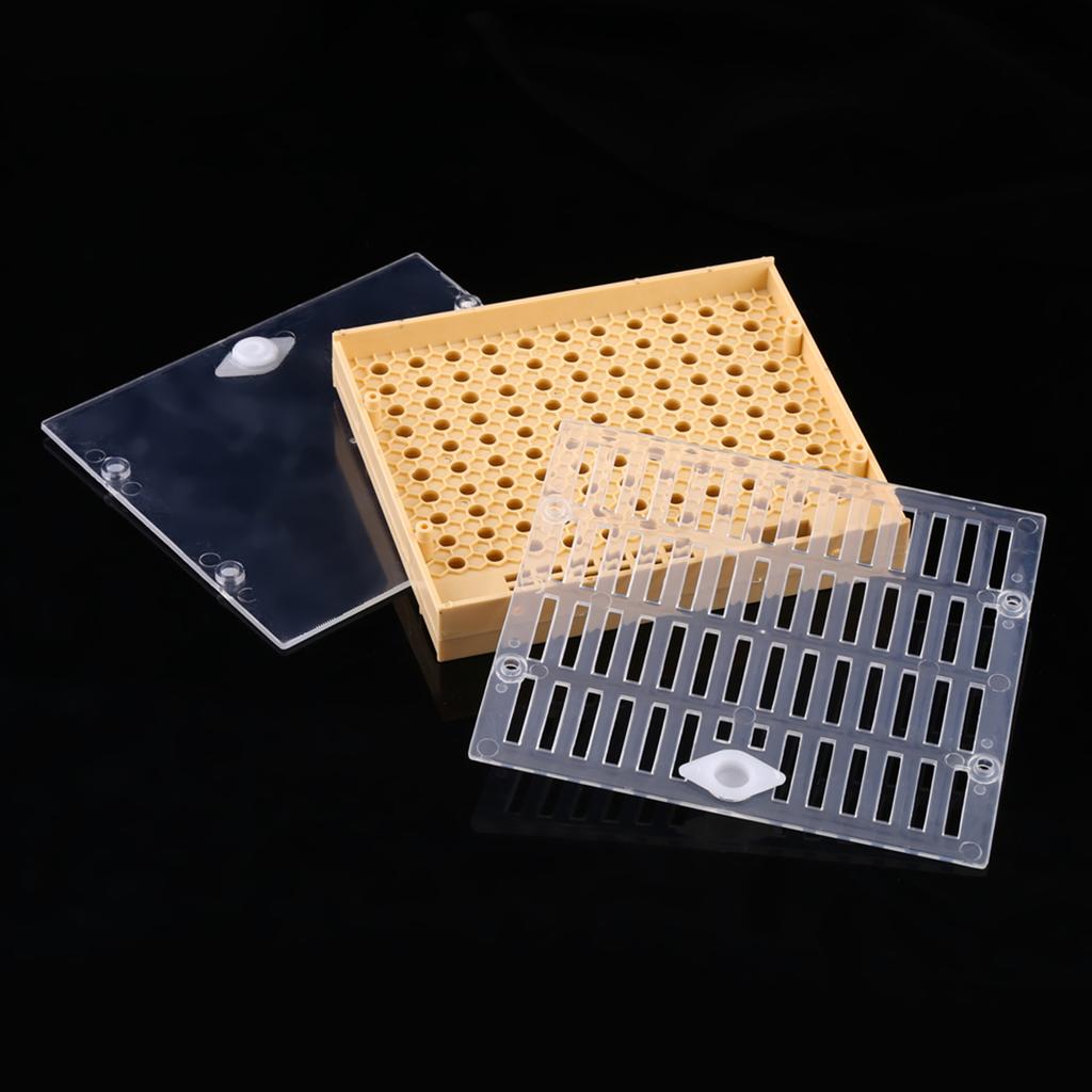 Beekeeping Queen Rearing Cups Box Cell Bar Blocks Caps Hair Roller Cages Bee Keeper Equipment