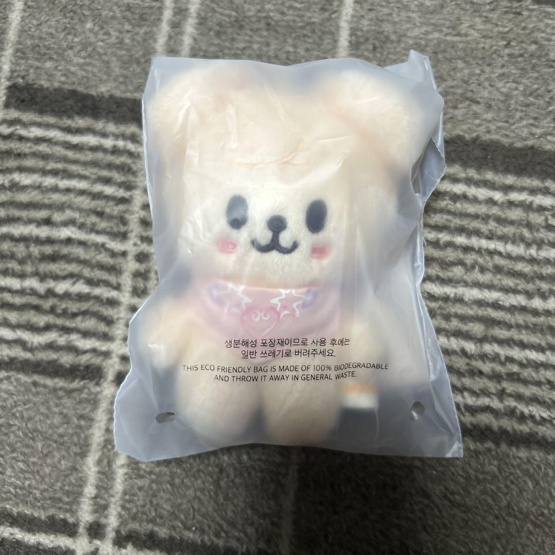 

[Б/У] SKZOO Анонимная доставка SKZ 5 CLOCK 10см Плюшевая игрушка Щенок