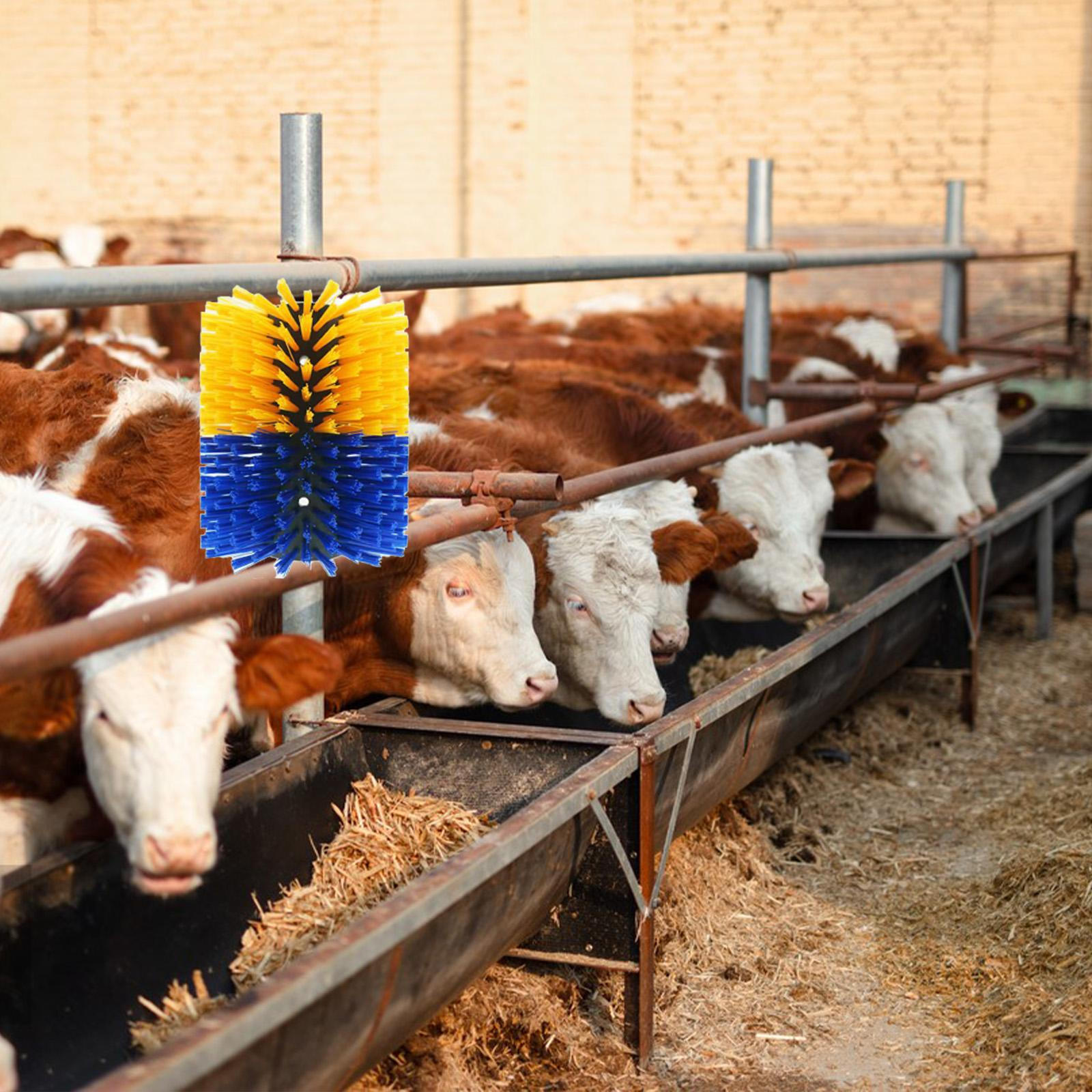 

Щетка для чесания скота, Инструмент для чистки, 7,5 ; X 8.5 ; Эффективная Лошадь для Yellow and Blue