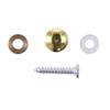 8Pcs High Quality Polished Gold Mirror Screws 10mm/12mm/14mm/16mm/18mm Decorative Caps Cover Nails
