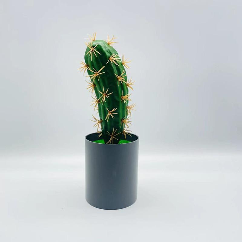 Artificial Cactus Simulation Green Plant Bonsai For Indoor And Decor Desktop