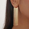 Irregular Tassels Earrings Comfortable Extended Wear Women Jewelry