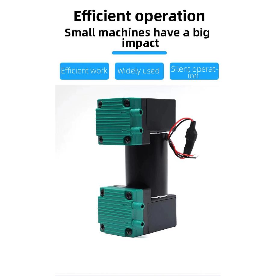 Micro Diaphragm Air Pump 12V/24V/220V Silent Vacuum Pump for Beauty Instrument, Medical Equipment & Laboratory Use