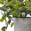 Hill Interiors Box Artificial Plant