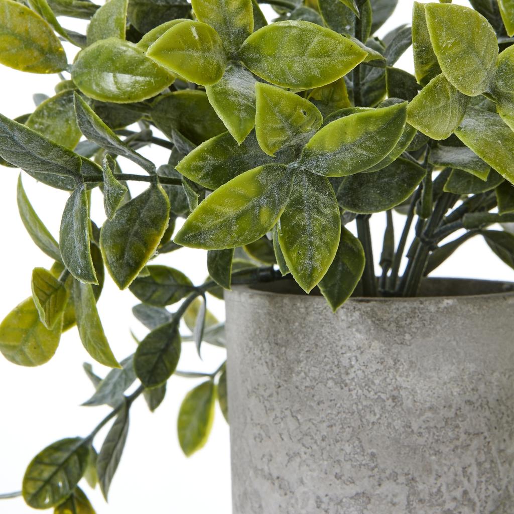 Hill Interiors Box Artificial Plant