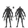 Marvel Legends Series Outriders Avengers Infinity War Collectible 6-Inch Action Figure 2-Pack