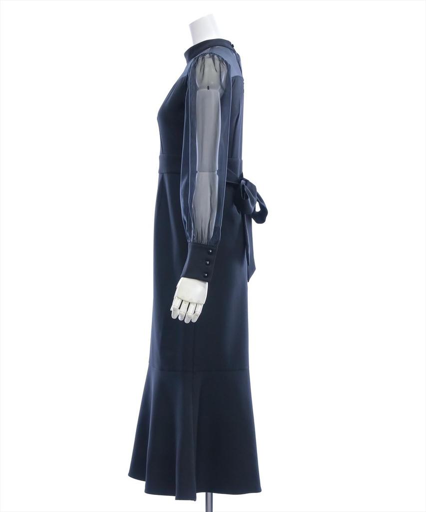 Long Long Sleeved Sheer Mermaid Flare Ribbon Office Sheer Mermaid Dress [Clear] Dress, Women's Dress, Casual, Elegant, 109A1-141283