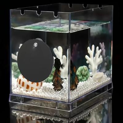 1set- Miroir d'entraînement pour Betta Ventouse Plus Miroir à poissons externe pour aquarium