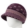 Hat women's autumn and winter warm thickened knitted wool hat cold basin hat