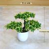 Creative Home Decor: Artificial Bonsai Grass Balls and Mini Cherry Snow Ball Trees