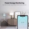 16A Brazil Standard WiFi Smart Plug with Power Monitor Smart Life APP Remote Compatible Smart Socket Work for Google Home Alexa