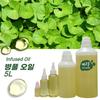 Centella Asiatica Oil 5L Infuse Oil, Base Oil for Making Natural Cosmetic Soap