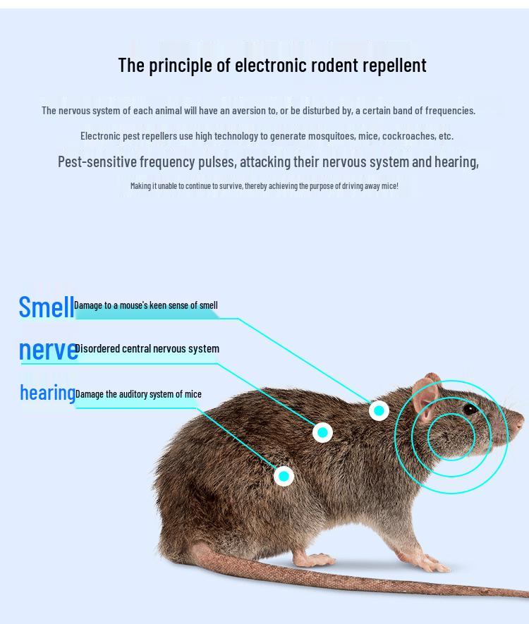 Ultrasonic Pest Repeller: Mosquito, Rodent, Insect, Cockroach Repeller and Mosquito Killer Lamp