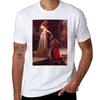The Accolade Edmund Leighton Tshirt Breathable Gym Short Sleeve Tshirt