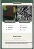 Student Camouflage Training Uniform Set - Grass Green, Summer Thin, Junior & Senior High Military Uniform