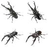 Advanced Living Creatures Giraffe Stag Beetle and Mandibularis Stag Beetle Set of Gacha Capsule Toy Encyclopedia Two-toed [Complete 4]