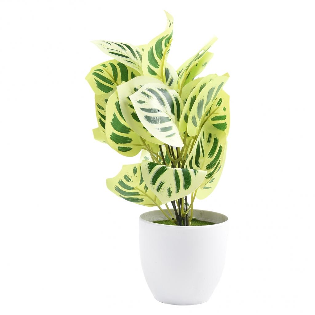 Flower Foliage  Potted Bonsai Office Decor