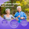 Lymphatische Kräutermischung Nahrungsergänzungsmittel Kapseln, 1390 mg pro Portion, 120 Kapseln, Mehrkräuter-Komplex-Formel
