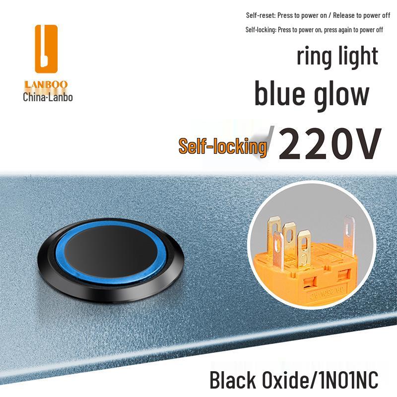 Lanbo 22A Stainless Steel Illuminated Self-Locking Momentary Push Button Elevator Switch
