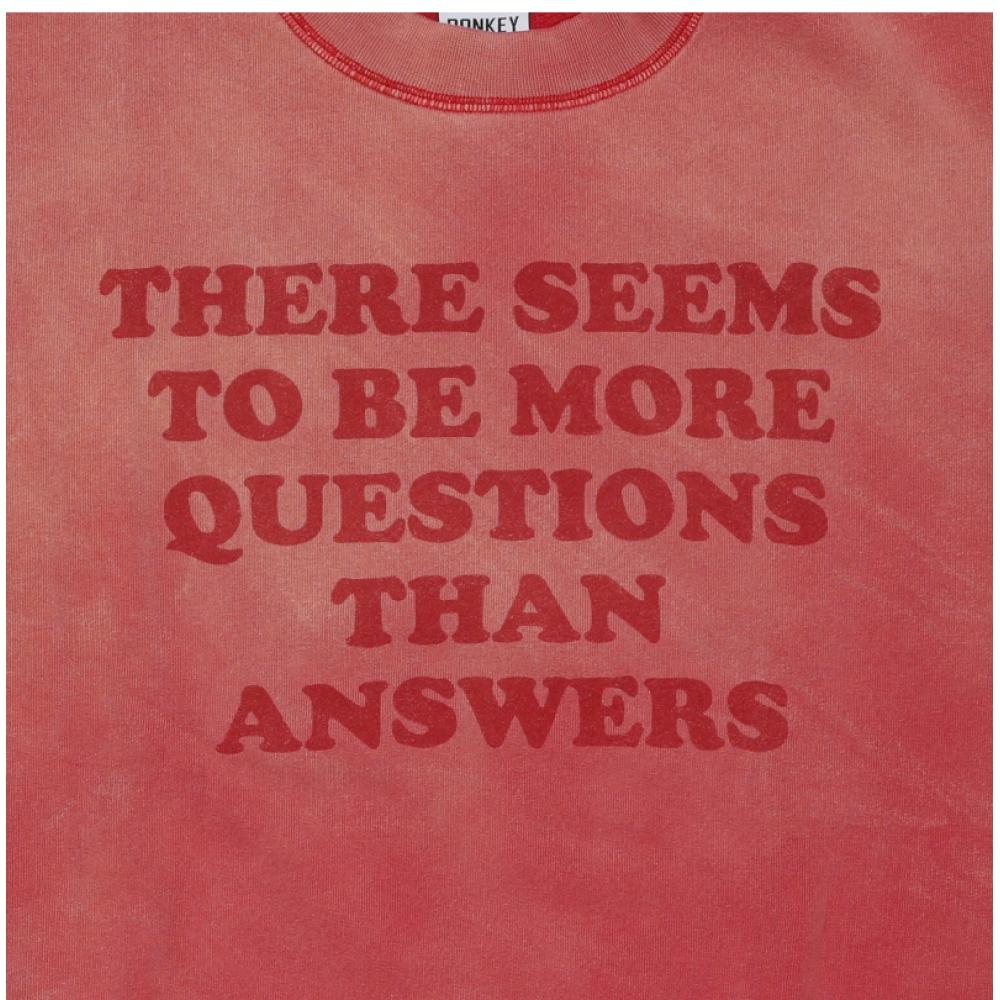 Wild Donkey Unisex Sweatshirt Fg Questions Sun Faded Cherry Red