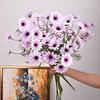 Artificial Dutch Daisy & Cosmos Chamomile Decoration Flowers