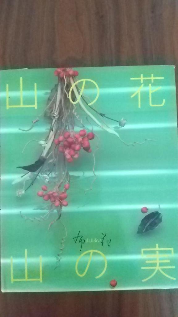 [USED] Mountain Flower Fruit by Rui Yamagami