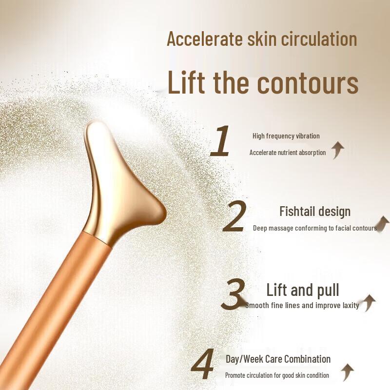 Morphy Richards MR2160 Facial Lifting & Firming Beauty Device