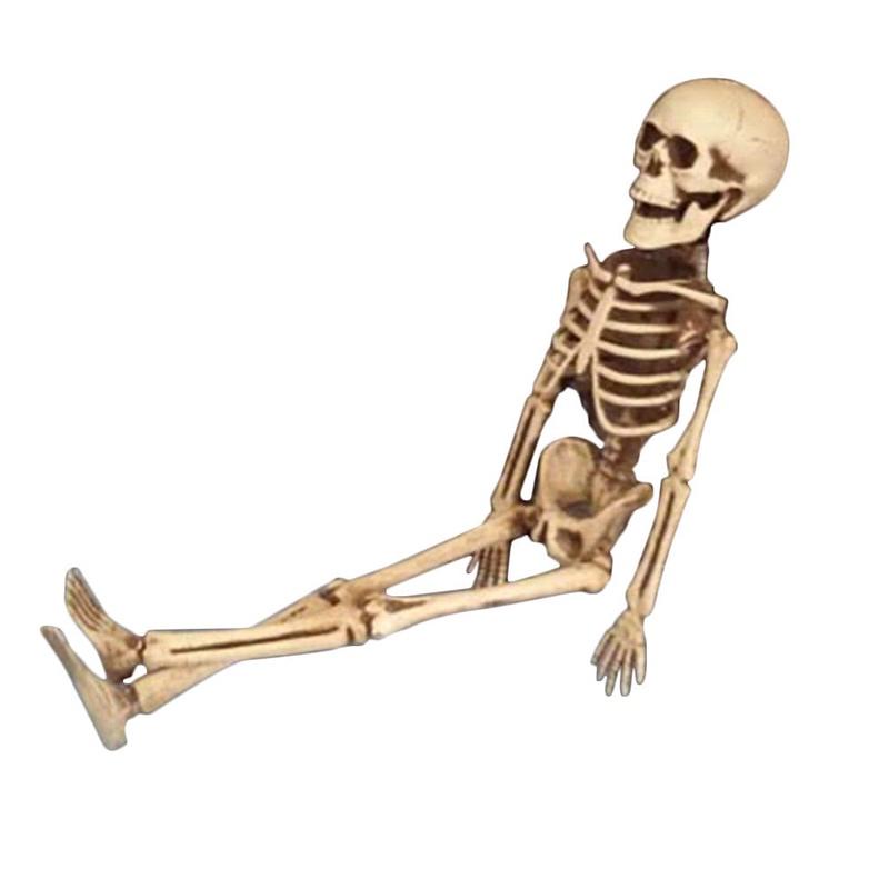 Human Skeleton Scary Skull Haunted House Halloween Prop Party Decor Atmosphere