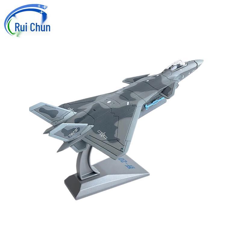 J-20 Fighter Jet Scale Model