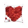 Nordic Red Sofa Pillow Love Pillow Case Ins Style Flower Couple Wedding Hug Valentine's Day Decoration Pillow Case