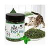 Biologisch 100% Natuurlijk Hoge Kwaliteit Kattenkruid Rundveegras Munt Smaak Grappig Katten Speeltje Nieuw Katten Speeltje