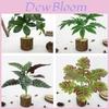 Woondecoratie – Decoratieve bloemen en kransen